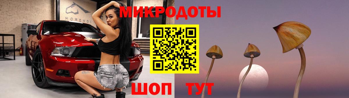 Псилоцибиновые грибы MAGIC MUSHROOMS  Вход с VPN  Шелехов  Галлюциногенные грибы Magic Shrooms 
